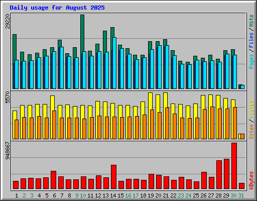Daily usage for August 2025
