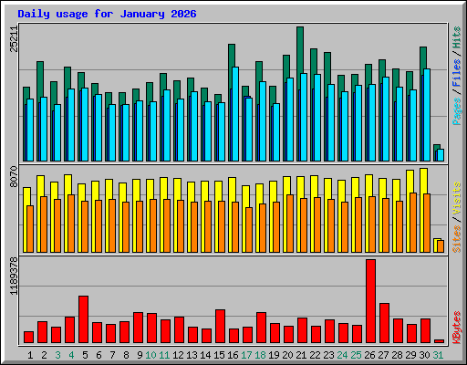 Daily usage for January 2026
