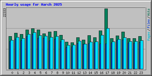 Hourly usage for March 2025