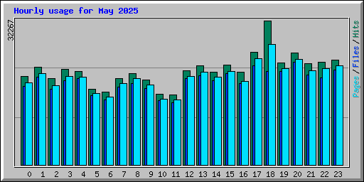 Hourly usage for May 2025