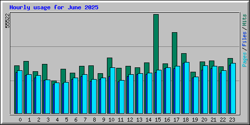 Hourly usage for June 2025