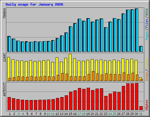 Daily usage for January 2026